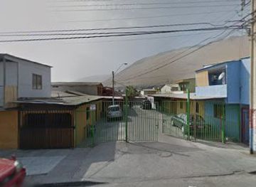 chile/iquique/shop/oh-my-fauna-chile