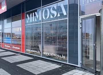 iceland/reykjanes-peninsula/shop/mimosa