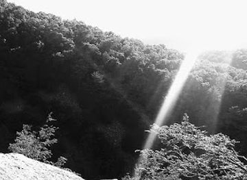 maryland/rocky-gap-state-park/shop/monkey-s-head-rock