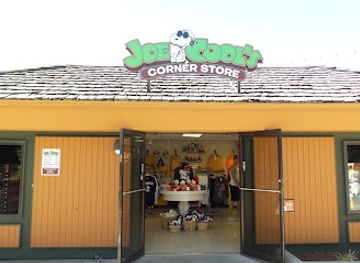ohio/sandusky/shop/joe-cool-s-corner-store