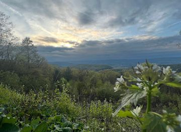 pennsylvania/bald-eagle-state-park/shop/bells-majestic-view