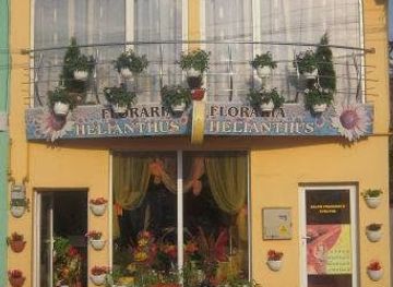 romania/maramures/shop/floraria-helianthus-baia-mare
