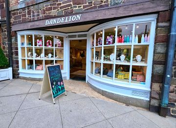 new-jersey/princeton/shop/dandelion