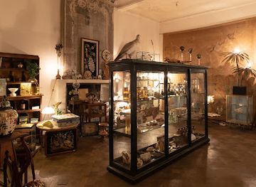 belgium/ghent/shop/wunderkammer-gent