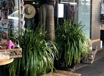 australia/brisbane/shop/olive-paddington