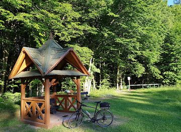 poland/białowieża-forest/shop/carska-tropina
