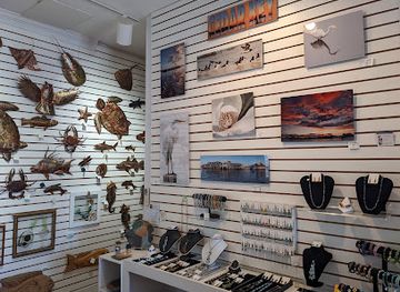 florida/cedar-key/shop/island-arts