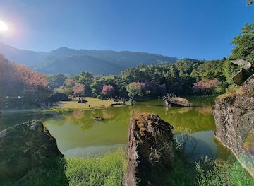 thailand/doi-inthanon-national-park/shop/inthanon-lady-s-slipper-orchid-under-initiative-conservation-project