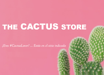 peru/arequipa-region/shop/the-cactus-store
