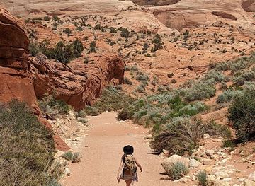 arizona/glen-canyon-national-recreation-area/shop/glen-canyon-conservancy