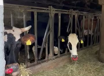 austria/zillertal/shop/ab-hof-verkauf-aigner