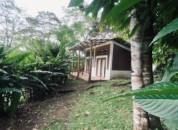 nicaragua/jinotega-mountains/shop/reserva-los-nogales