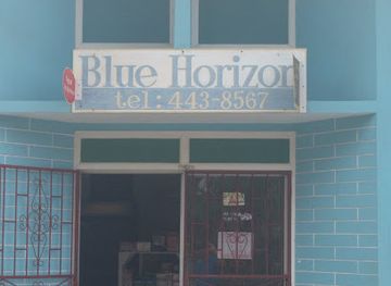grenada/carriacou-and-petite-martinique/shop/blue-horizon
