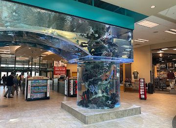 nevada/sparks/shop/scheels