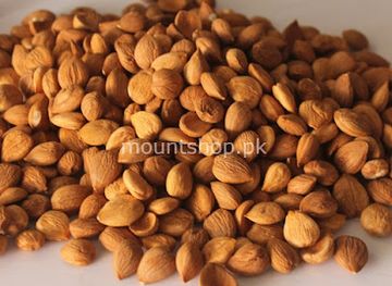 pakistan/gilgit-baltistan/shop/mountshop-pk