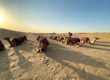 united-arab-emirates/dubai-desert-conservation-reserve/shop/al-marmoom-conservation-reserve