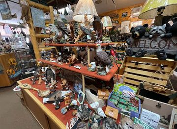 minnesota/itasca-state-park/shop/trading-post-inc