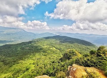 sri-lanka/knuckles-mountain-range/shop/mini-world-s-end-pitawala-pathana