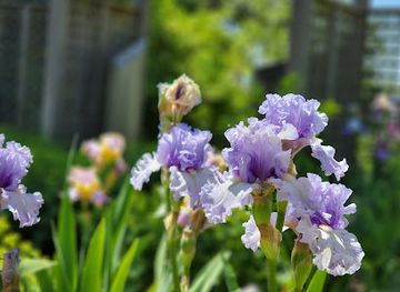 wisconsin/apostle-islands-national-lakeshore/shop/the-madeline-island-candles-gardens
