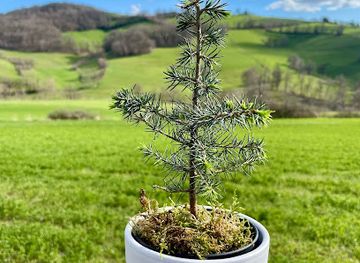 france/limousin/shop/pousse-d-amour