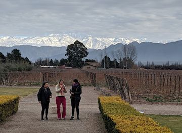 argentina/mendoza-wine-region/shop/mendoza-wine-experience