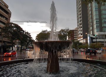 mexico/guadalajara/chapultepec/shop/camellon-chapultepec