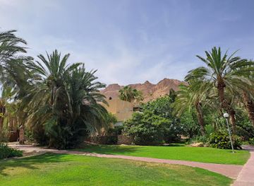israel/ein-gedi/shop/ein-gedi-botanical-garden
