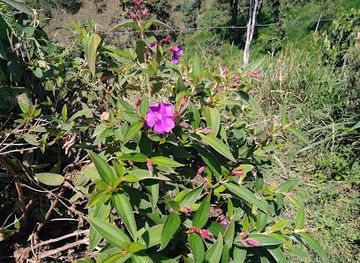 ecuador/mindo/shop/recinto-el-valle