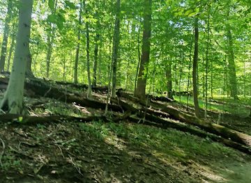 maryland/patapsco-valley-state-park/shop/patapsco-valley