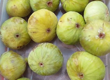 iraq/choman/shop/marketi-revan