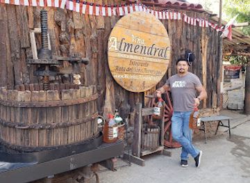 chile/aconcagua-valley/shop/vina-almendral