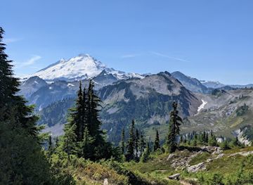washington/mount-baker/shop/artist-point