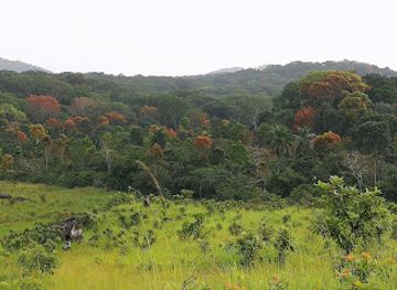 gabon/lope-national-park-area/shop/lope-national-park-entrance