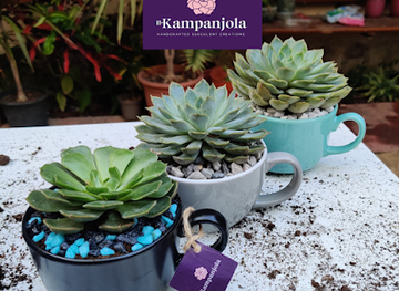 malta/marsaxlokk/shop/il-kampanjola-succulent-creations
