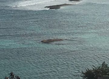 saint-vincent-and-the-grenadines/union-island/shop/grocery-bar-rebel-say-one-love