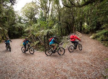 new-zealand/fox-glacier/shop/experience-fox-glacier