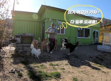 south-korea/seoraksan-national-park/shop/noldagae