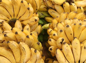 uganda/busoga/shop/cosabuce