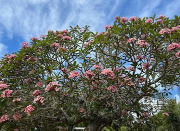 new-caledonia/ile-des-pins/shop/epicerie-saint-mathieu