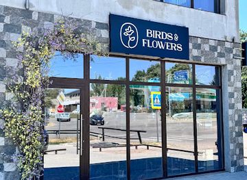 moldova/gagauzia/shop/birds-flowers