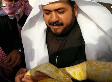 jordan/ajloun-castle/shop/markaz-dalin-lil-munazifat-walfut-walwaraq-alsahi