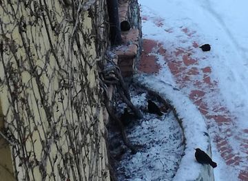 bulgaria/malyovitsa/shop/rilatex