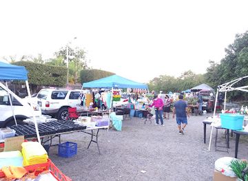 puerto-rico/ponce-region/shop/pulguero-de-ponce