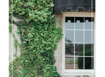 tennessee/memphis/shop/social