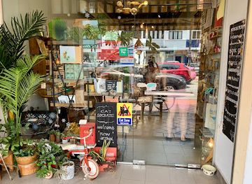 singapore/east-coast-park/shop/cat-socrates