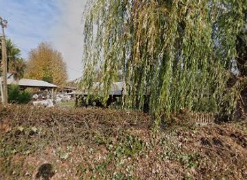 chile/norte-chico/shop/venta-durazno-chico-la-palma