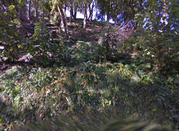 jersey/gorey/shop/bachjrah