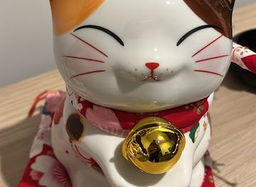 singapore/north-region/shop/fortune-cat-sg