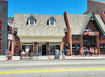 tennessee/gatlinburg/shop/earthbound-trading-co