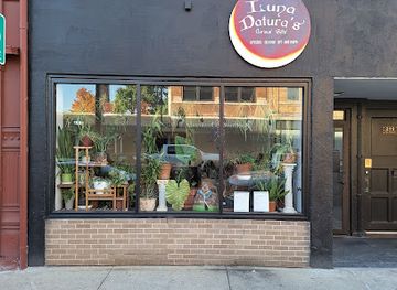 illinois/rockford/shop/luna-datura-s-curious-gifts